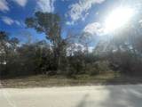  Butternut Drive - Photo 13