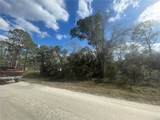 Butternut Drive - Photo 14
