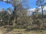  Butternut Drive - Photo 15