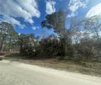  Butternut Drive - Photo 3
