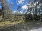  Butternut Drive - Photo 6