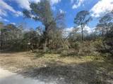  Butternut Drive - Photo 7
