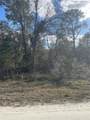  Butternut Drive - Photo 8