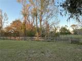 22244 County Road 455 - Photo 29