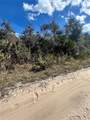  Deer Crossing Road - Photo 4