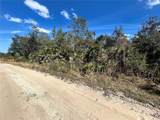  Deer Crossing Road - Photo 6