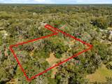 580 Mercers Fernery Rd. - Photo 46