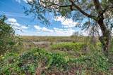  Royal Palm Dr - Photo 11