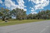 Royal Palm Dr - Photo 13