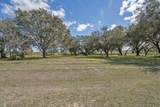  Royal Palm Dr - Photo 3