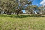  Royal Palm Dr - Photo 5