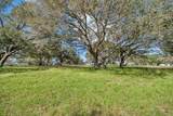  Royal Palm Dr - Photo 6