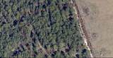  Lake Harney Road - Photo 3