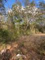  Dogwood Way - Photo 5