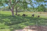 20751 Queen Alexandra Drive - Photo 27