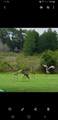 21046 County Road 33 - Photo 51
