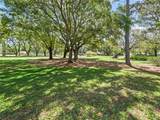 1105 Del Toro Drive - Photo 38