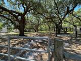 1650 Sundance Drive - Photo 34