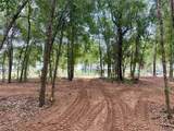  Wolf Springs Court - Photo 7