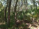 34457 Primrose Lane - Photo 12