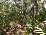 34457 Primrose Lane - Photo 13