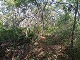 34457 Primrose Lane - Photo 2