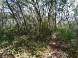 34457 Primrose Lane - Photo 3