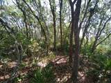 34457 Primrose Lane - Photo 4