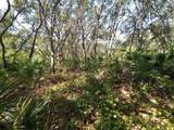 34457 Primrose Lane - Photo 5