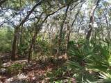 34457 Primrose Lane - Photo 6