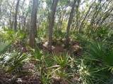 34457 Primrose Lane - Photo 8