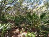 34457 Primrose Lane - Photo 9