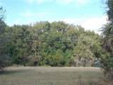  Turnberry Avenue - Photo 6