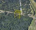 TBD Trojantown Drive - Photo 7