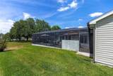 923 Oleander Street - Photo 44