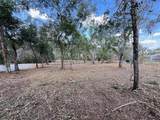  Spruce Terrace Way - Photo 10
