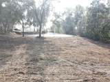  Spruce Terrace Way - Photo 3