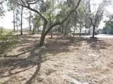  Spruce Terrace Way - Photo 4
