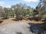  Spruce Terrace Way - Photo 5