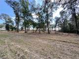  Spruce Terrace Way - Photo 6