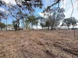  Spruce Terrace Way - Photo 7