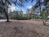  Spruce Terrace Way - Photo 8
