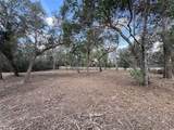  Spruce Terrace Way - Photo 9