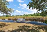 529 Ed Douglas Rd - Photo 29