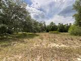 34331 Rim Rock Street - Photo 1