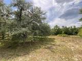 34331 Rim Rock Street - Photo 4