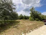 34331 Rim Rock Street - Photo 5