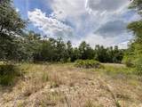 34331 Rim Rock Street - Photo 7