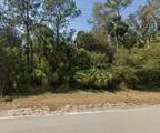TBD Mullet Lake Park Road - Photo 5