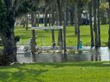 1551 Highway 19 - Photo 4